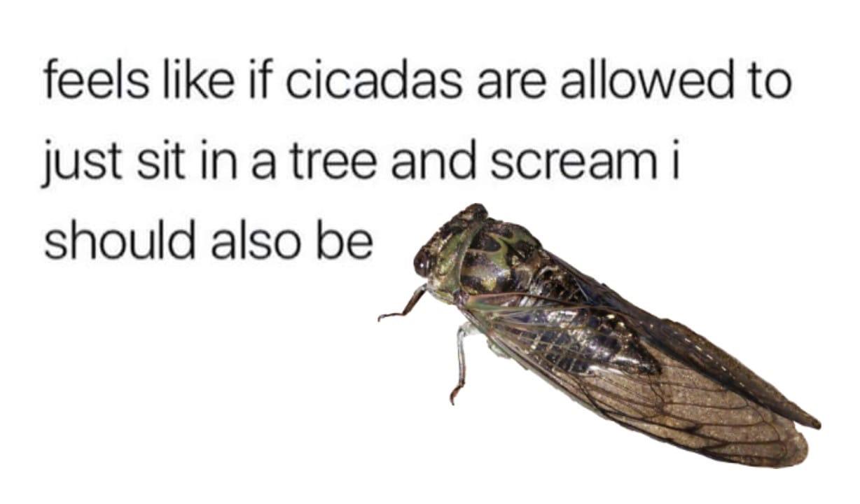 656.jpg
