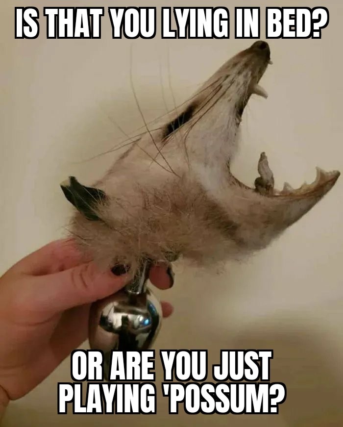 65b4663d5e38a.jpeg