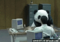 65BAA153-AA30-406B-B01A-2945BA9C51DE.gif