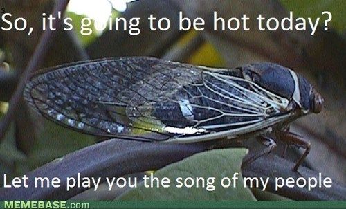 65e45f044b4d2ee9297e5ce2e3c5c8ee.jpg
