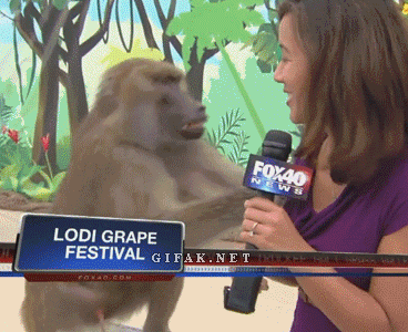 662E1610-D54E-4752-888D-78AA5231FDA8.gif