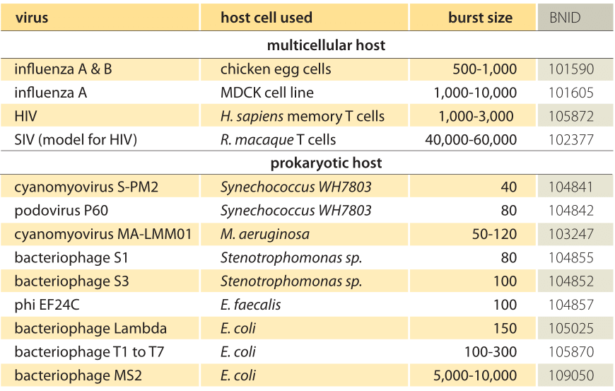 670-t1-VirusBurstSize-11.png