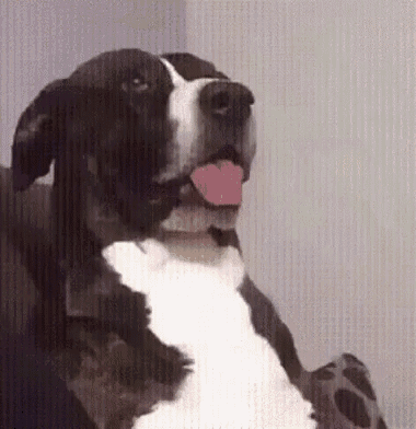 67015544a4276c47829363118c900b46bfdb983bf77d772eb2acb94730a77ca6.gif