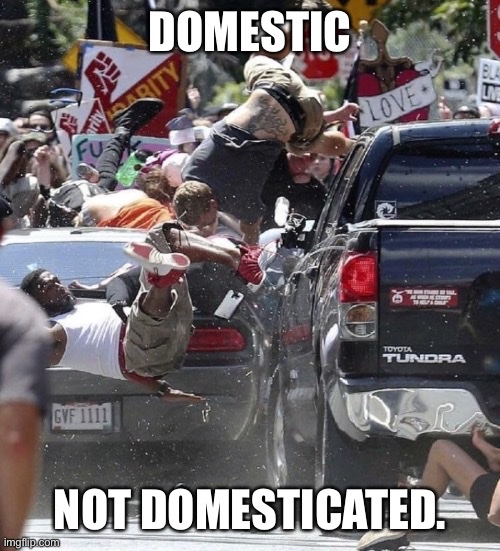 6720B609-D05F-45CD-9D8D-5BF8BB73F5A4.jpeg