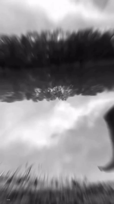 6769F147-E7A3-44B1-8022-7C65C9D124F4.gif