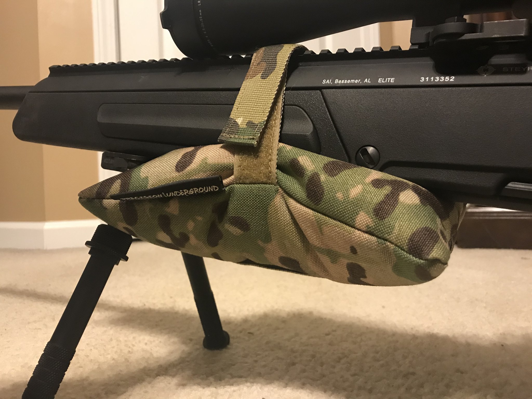 Which rear bag | Sniper's Hide Forum