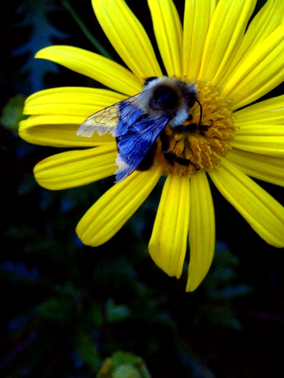 690E099C-ED19-46C5-ABE9-E1888AB07F3F.jpeg