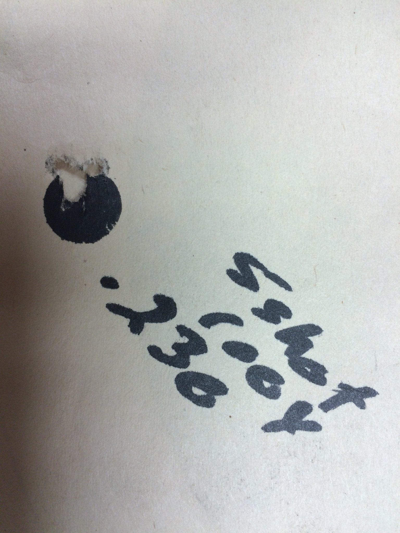 6A2D3808-3D45-4B08-845B-7FCF20CA67A2.jpeg