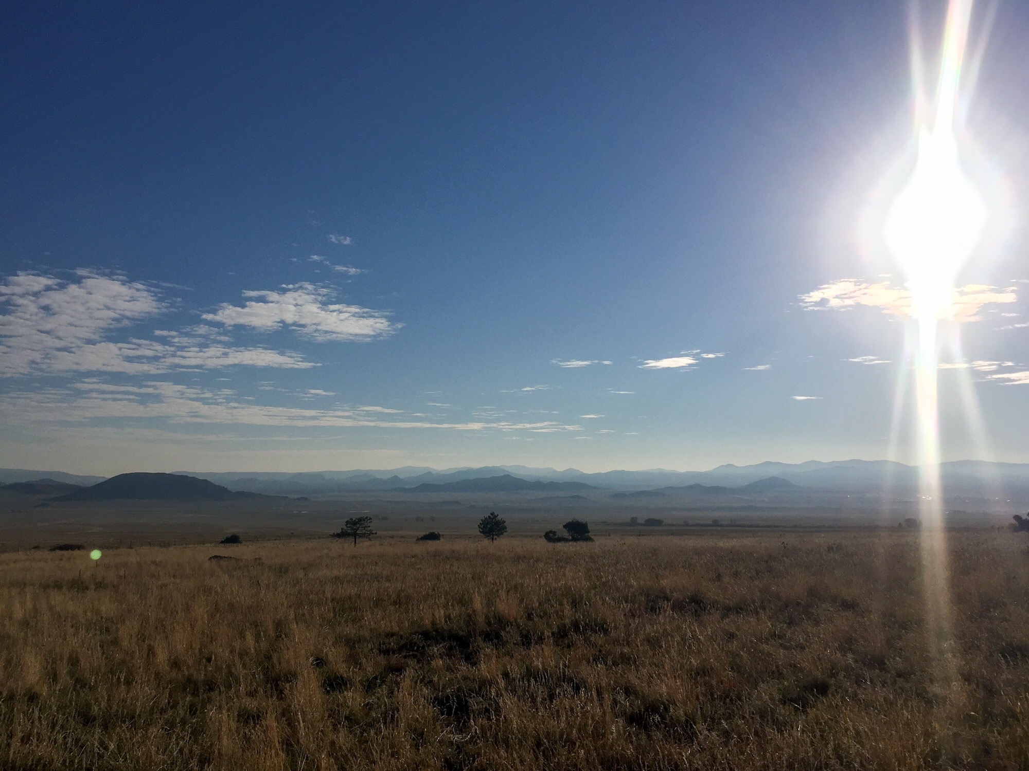 6A51C459-7F15-4E0B-8076-160C10F356D5.jpeg
