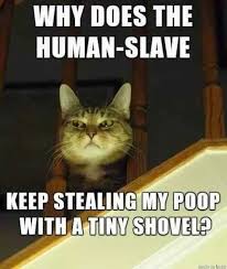 6A528845-A98E-4711-B329-83D7B5FC7F40.jpeg
