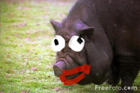 6B48F954-6F14-4E86-AE2C-5F9BCA2AD200.jpeg