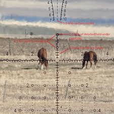 6B64D8B7-E9BA-4894-B5AD-825D6FB092A3.jpeg