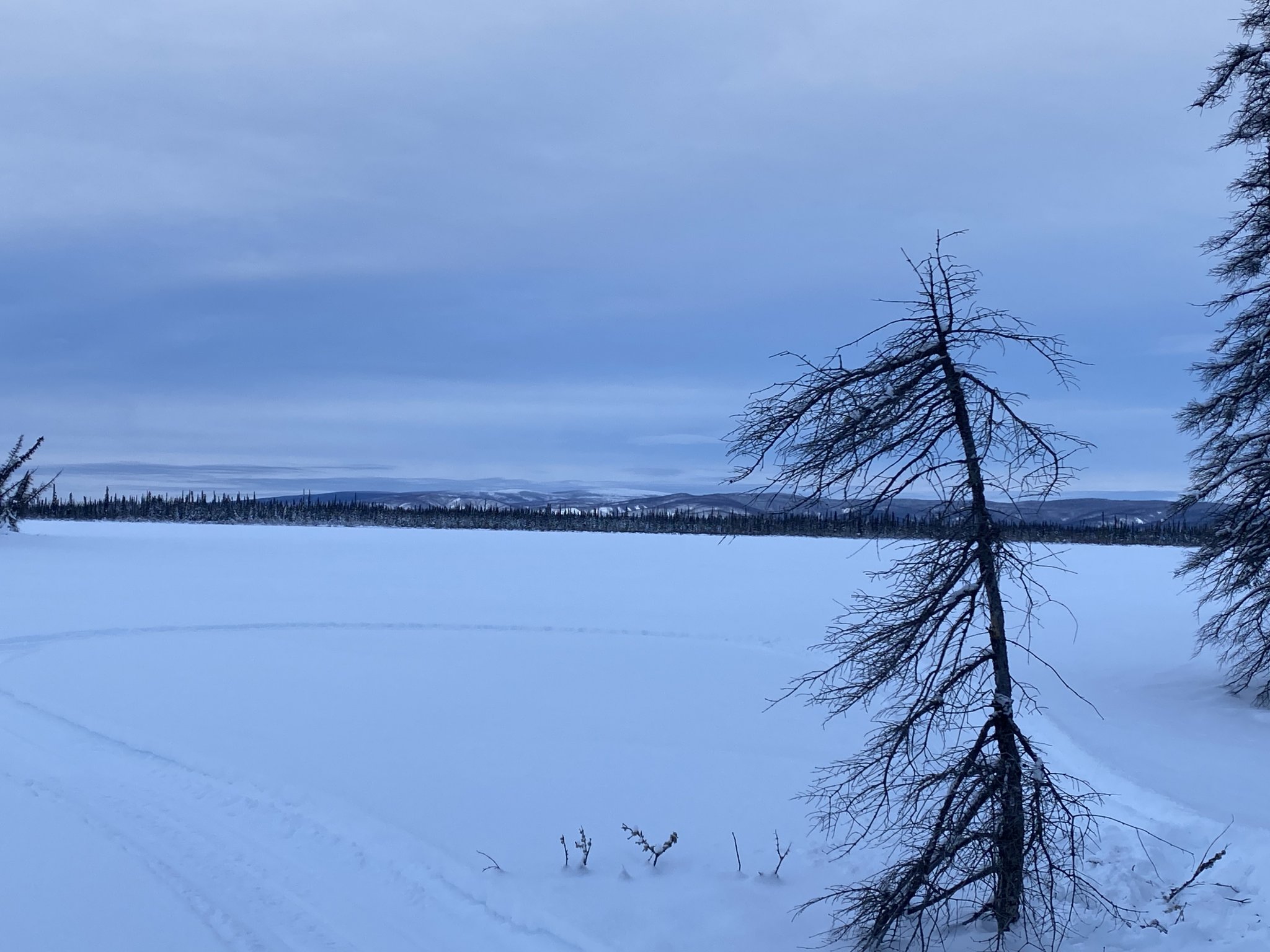 6C135881-BEA4-4AB5-8692-D2C51BF792BF.jpeg