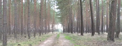 6C5C51F2-2BDA-4947-B776-122824095C8F.gif