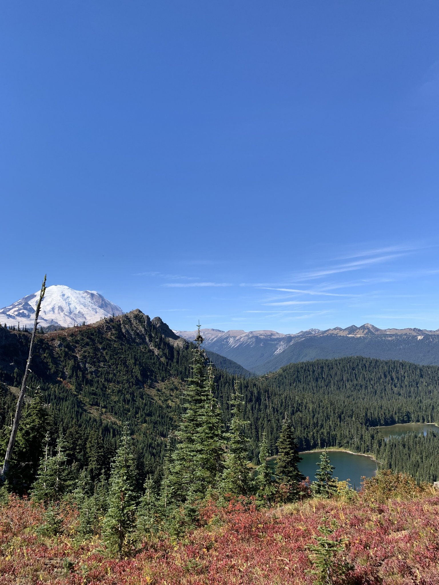 6CB74479-0E3B-4438-A98D-310B1FFB300B.jpeg