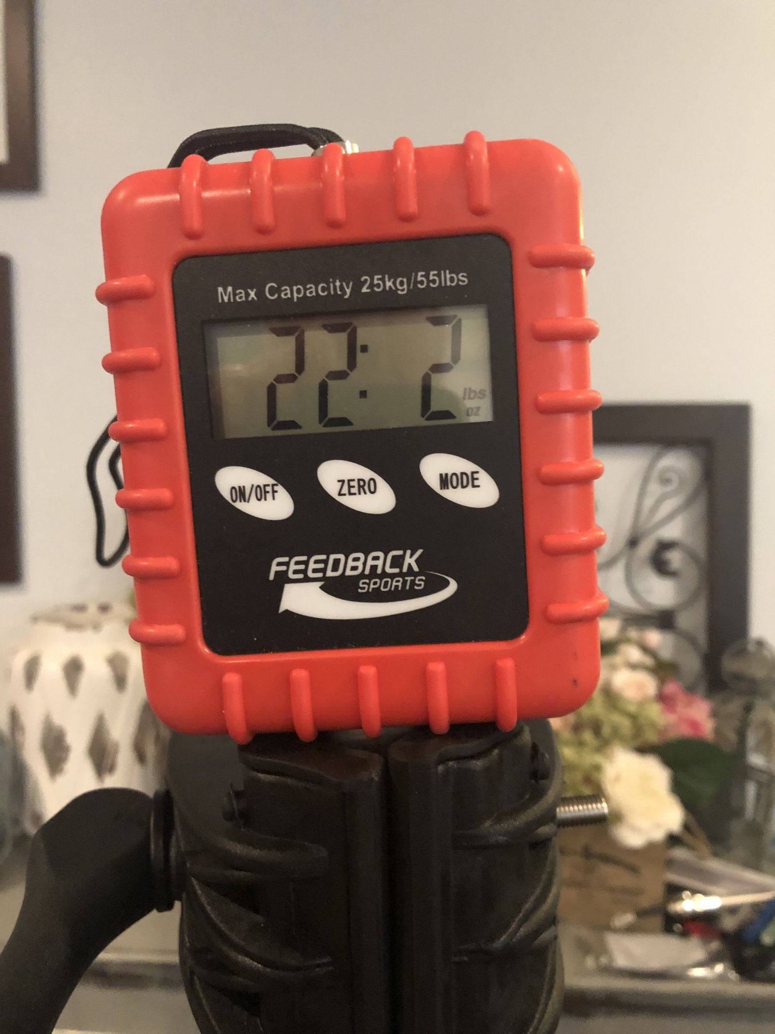 6D3281AD-C131-430A-B222-49D2C545B22E.jpeg