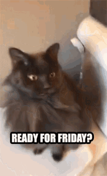 6D4E0050-26F2-4E49-8E87-FDD92CFF8175.gif