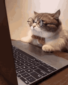6E4D158D-978A-4BF3-B416-E49E5D74F79E.gif