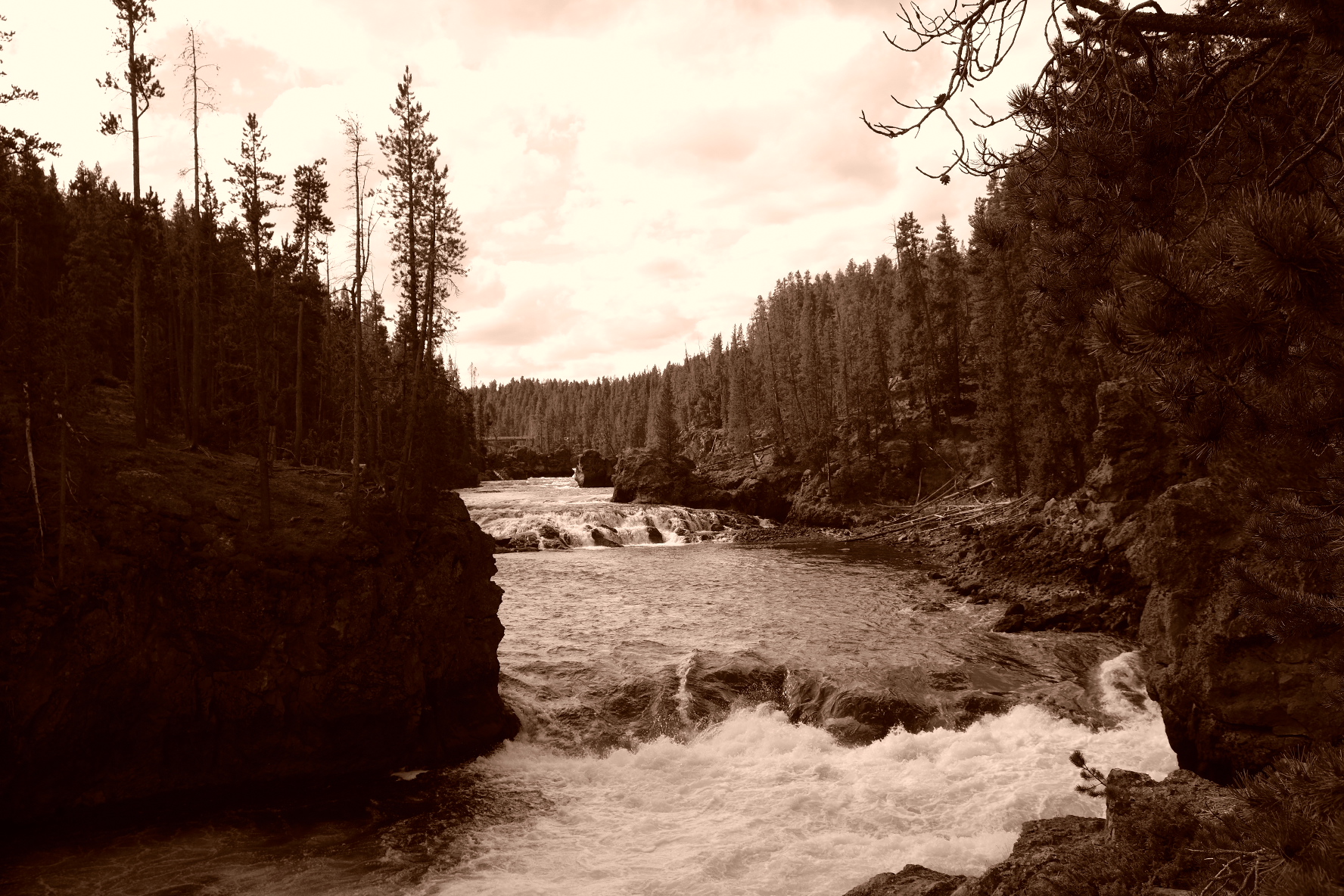 6ECE93BF-B304-4F07-AC2F-3D05ACE8F46B.jpeg