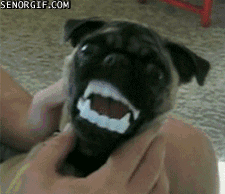 6F4EE5E5-45C1-4388-BE25-3B70C1E8B9DC.gif