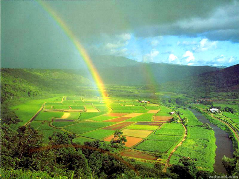 7-rainbow-photography.jpeg