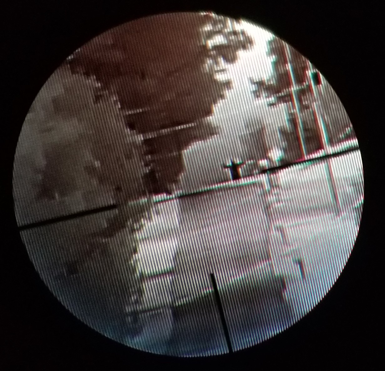 700yd 10x.jpg