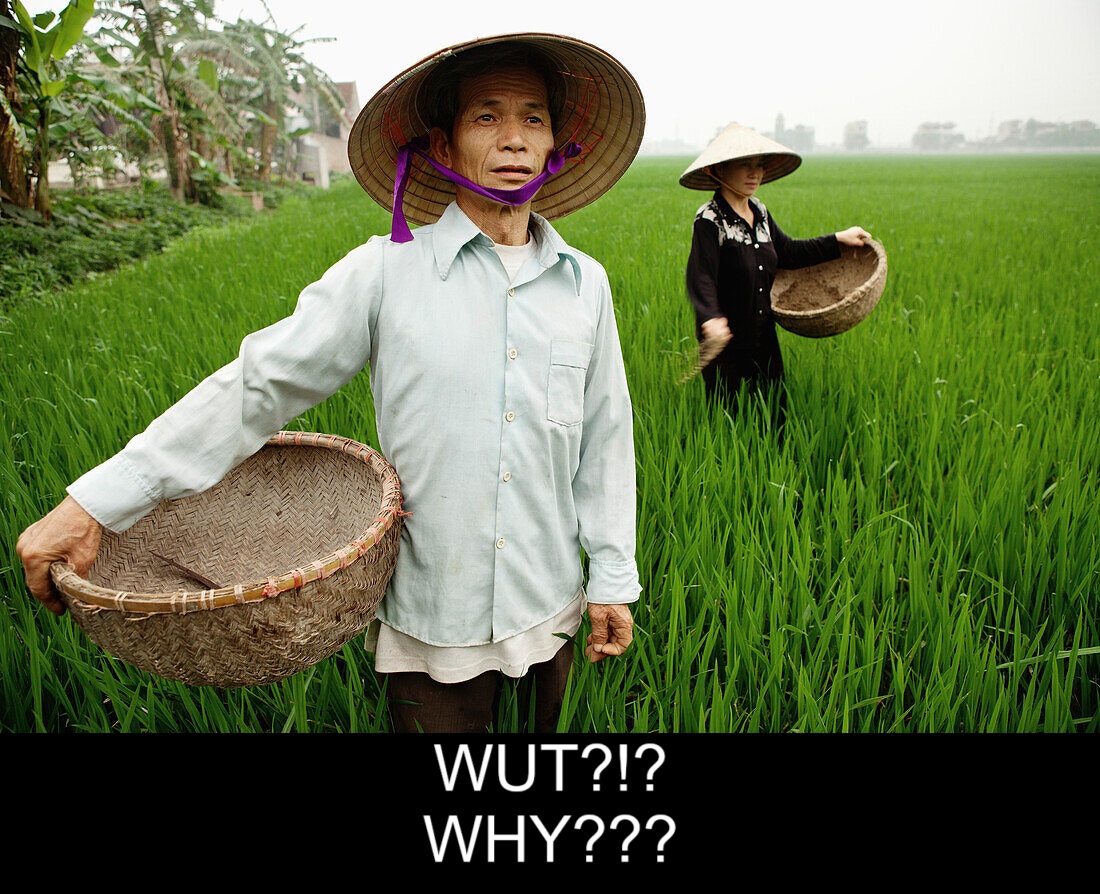 70435182-VIETNAM-Hanoi-countryside-rice-farmers-Nguyen-Huu-Uc-and-Nguyen-Thi-Ha-spread-seed-in...jpg