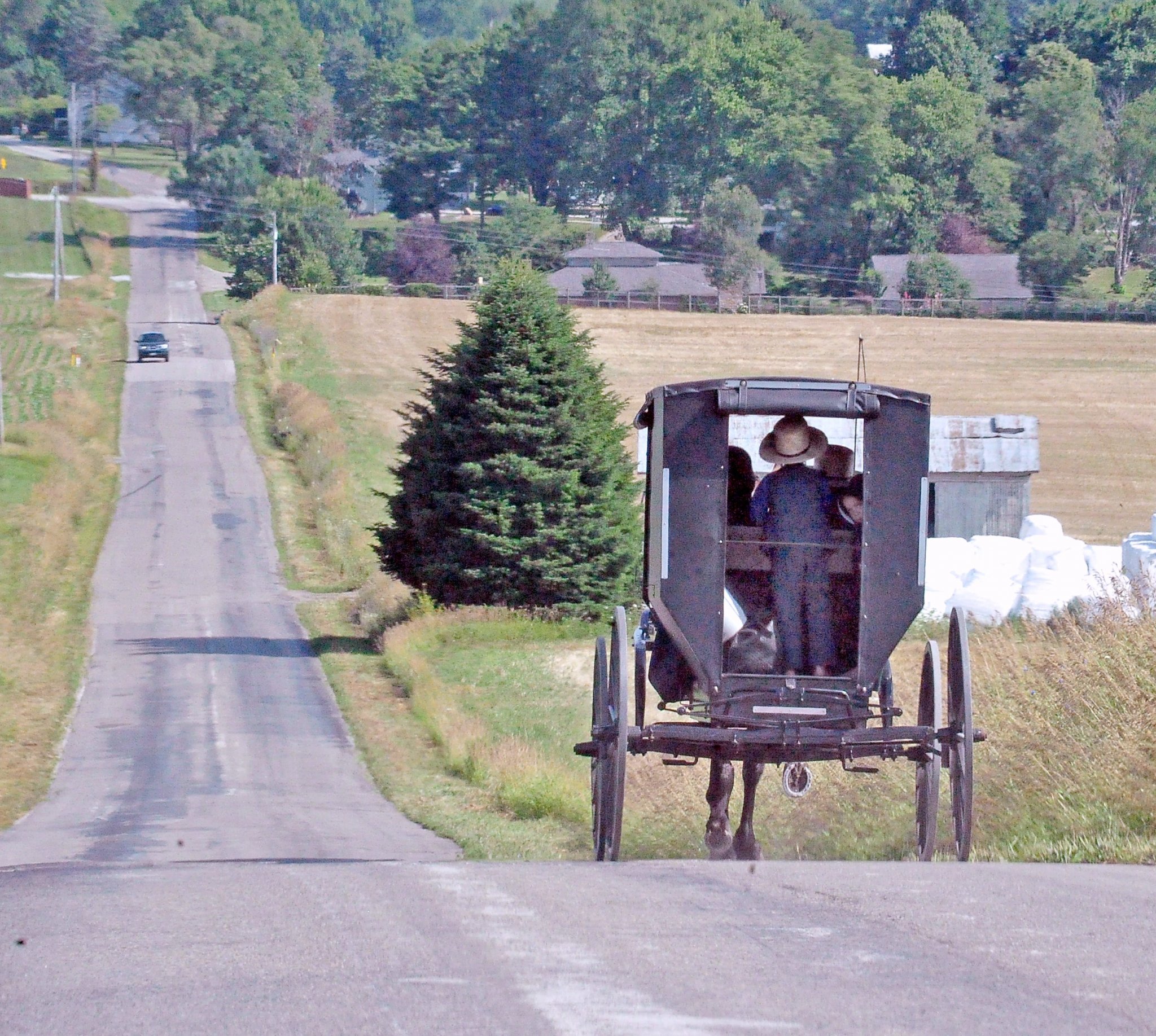 70ff1bfe-b5a7-475e-9a08-e6c69e1813e4-Buggy4.jpg