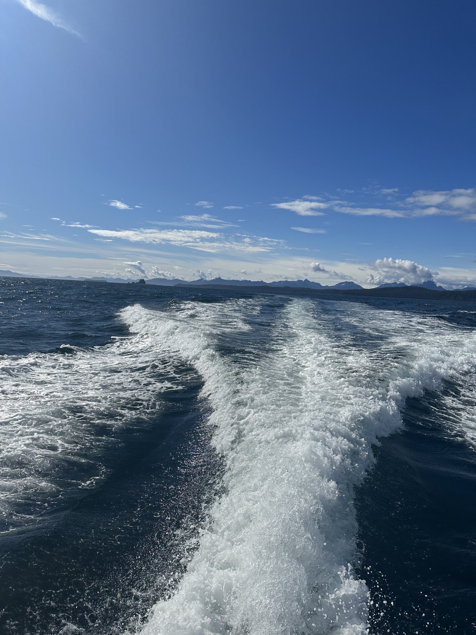 719D30F9-D420-42F4-98AF-673D9B779A60.jpeg