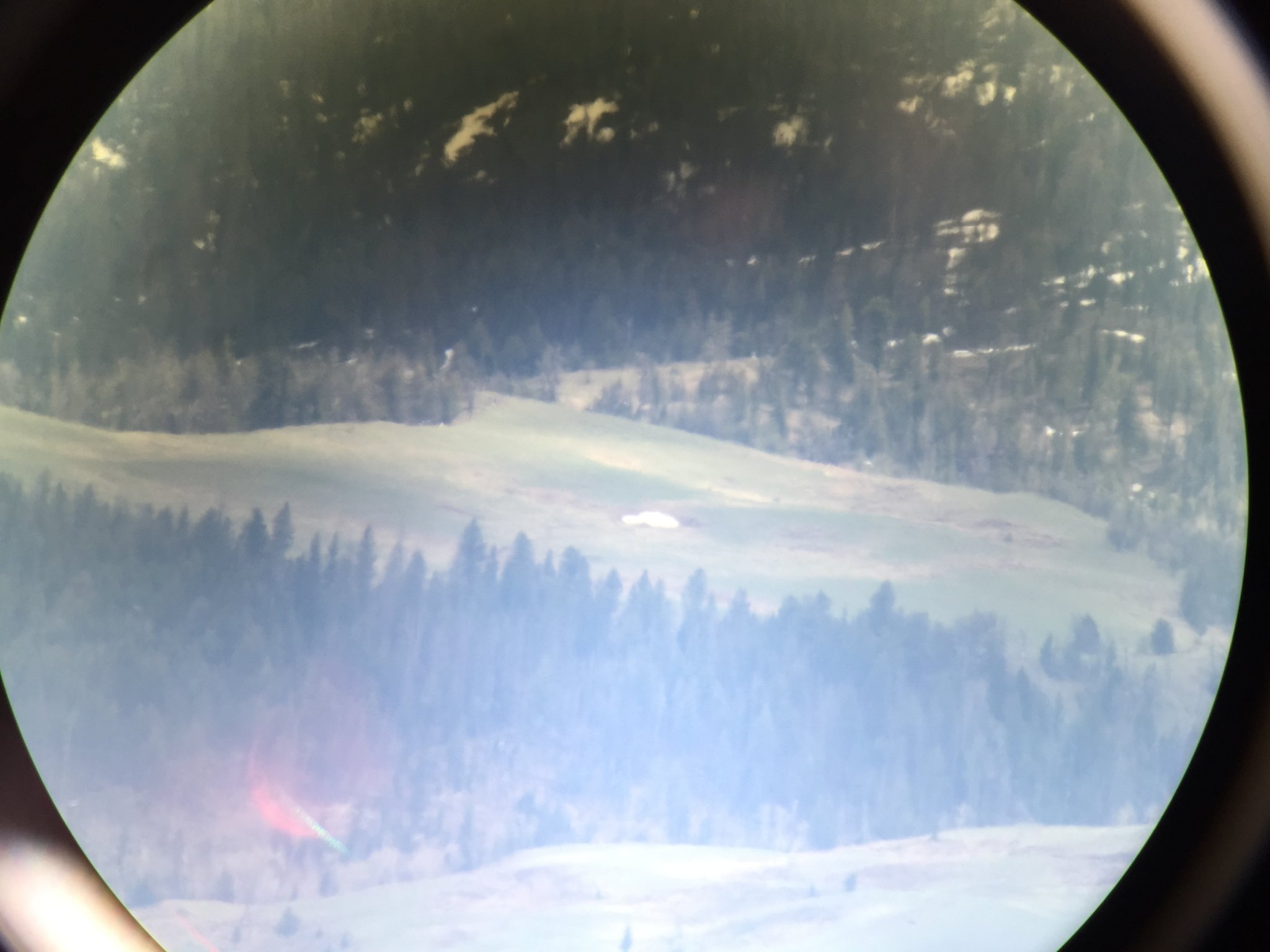 722927CF-82AF-4FDE-A5CF-0D2C46D6CE29.jpeg