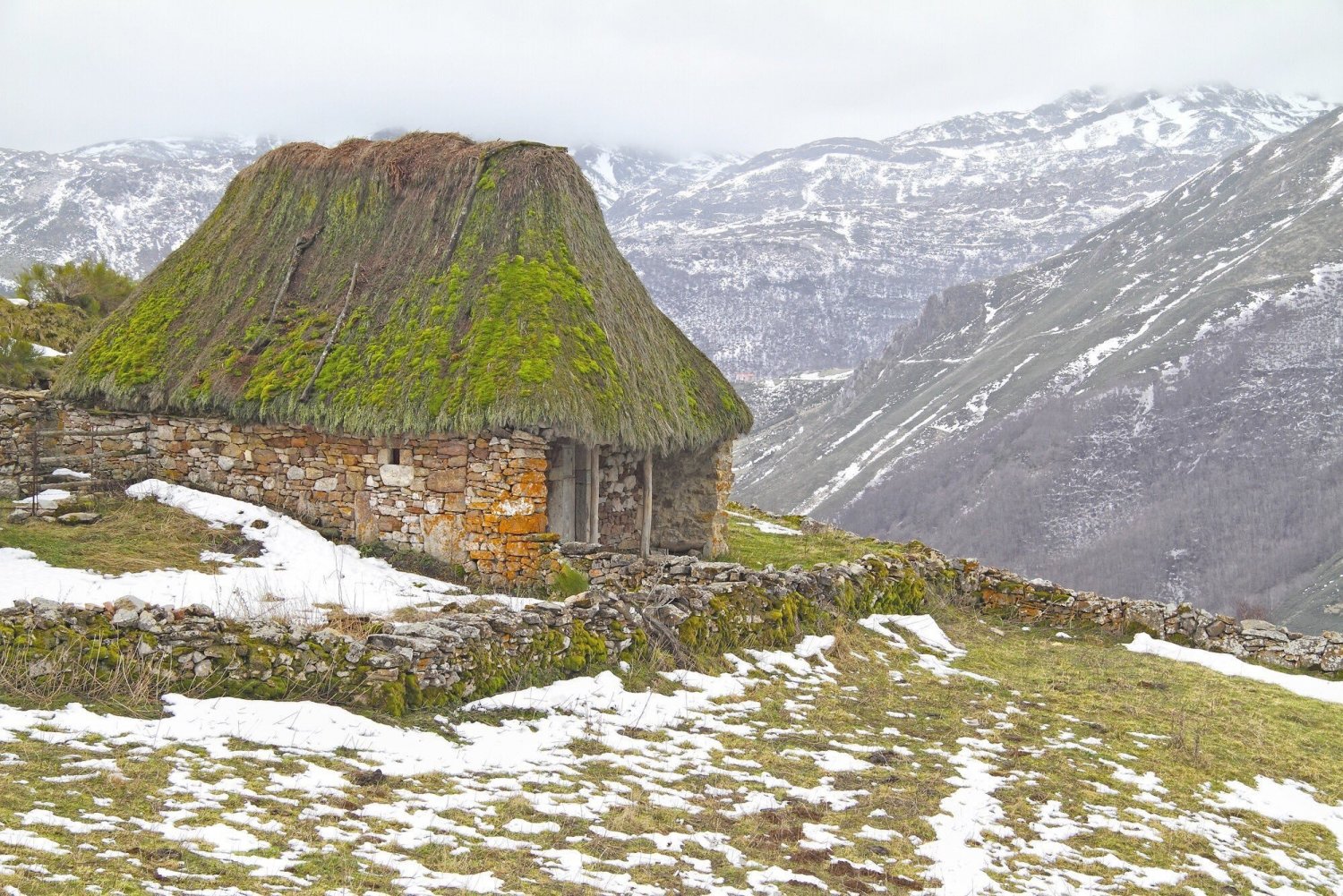 725690782_Traditionalshepherdshouse.thumb.jpeg.59ed917f71476dedab69bf6319733997.jpeg