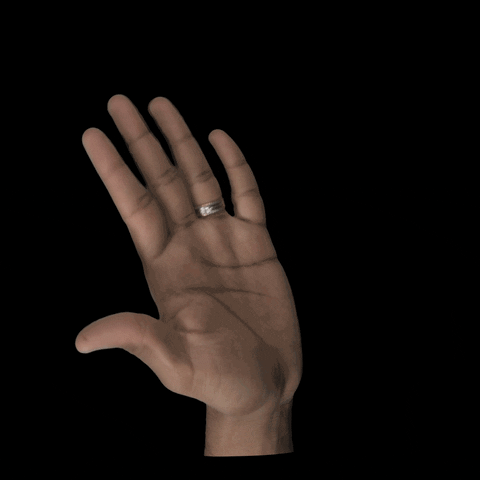 72A3D701-73AB-4126-ADEC-55BB16DC0BF9.gif