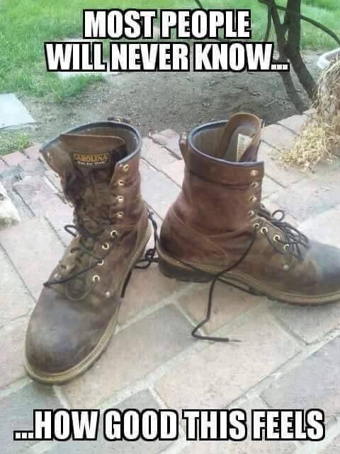 73E48D9D-D79F-40E2-B4C6-6435A471E285.jpeg