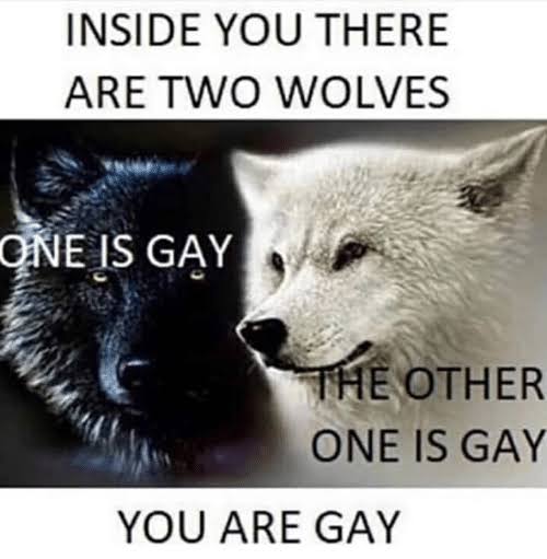 74CD0D05-D47F-40DC-A1D9-98BC88DF8E1B.jpeg