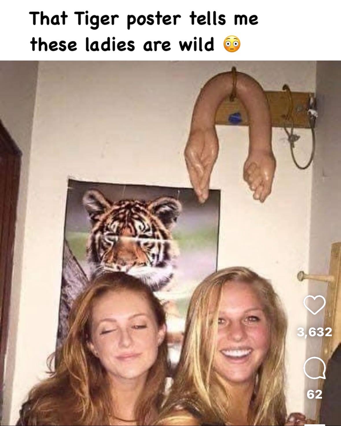 74de00b3-8e56-40a3-bc3e-8a6ad2b08888.jpeg