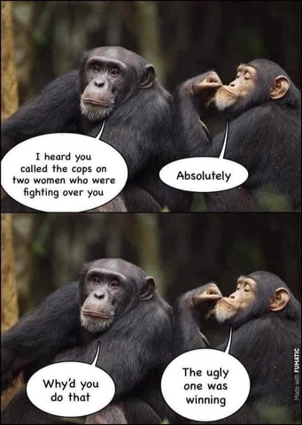 74E69219-0764-4B39-89E2-4540E719621F.jpeg