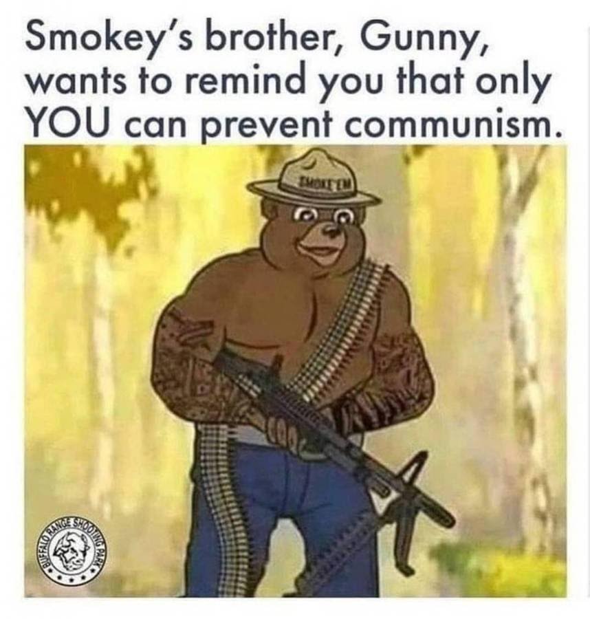 74f4f8ae73303456a5e979579b1fb380d2944804-14_2662721153982.jpg