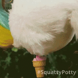 76416daa4cf6ad9a64d75ea30f01f99f.gif