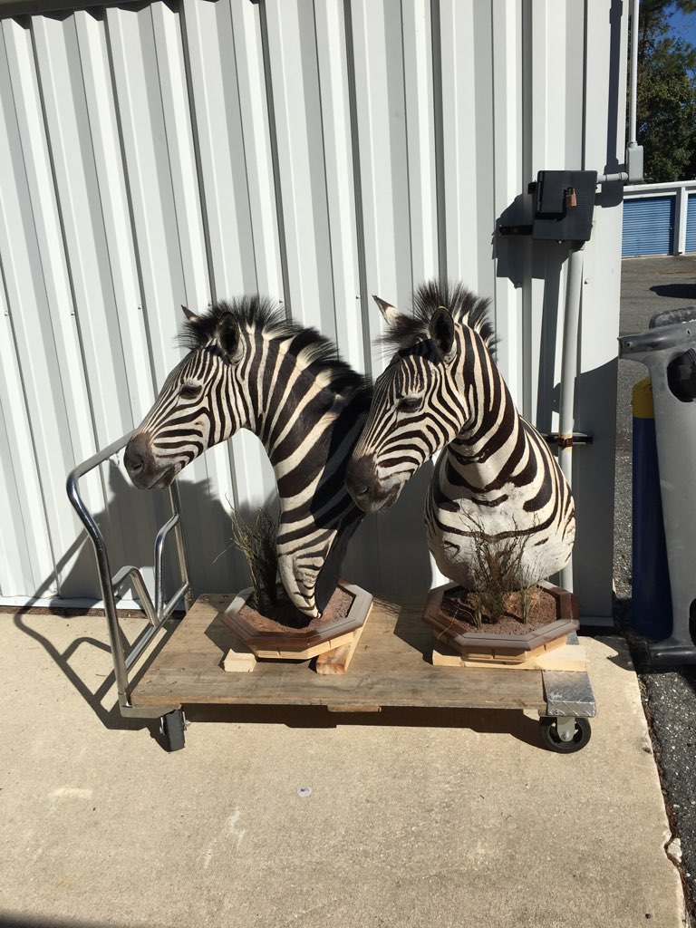 76C00797-F8B6-4FA6-9E3F-43A92CE09148.jpeg