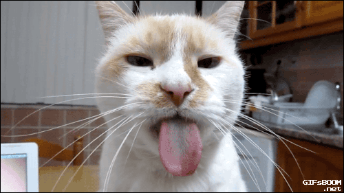 76D96E5B-3E8B-40DD-A089-1F10A8094F6C.gif