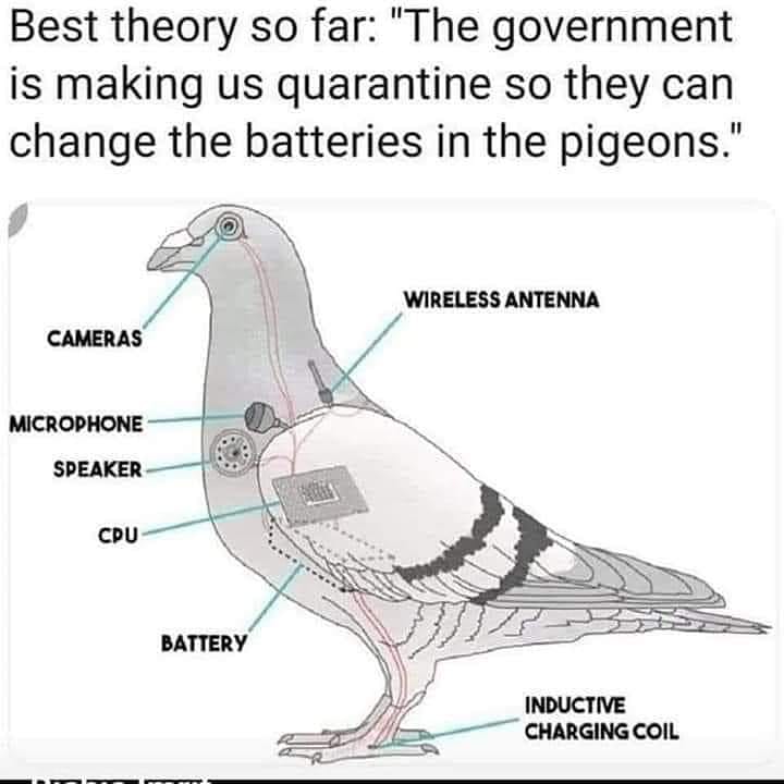 77CEA4C1-AFEC-4EB2-AB9E-336C635CC2D8.jpeg