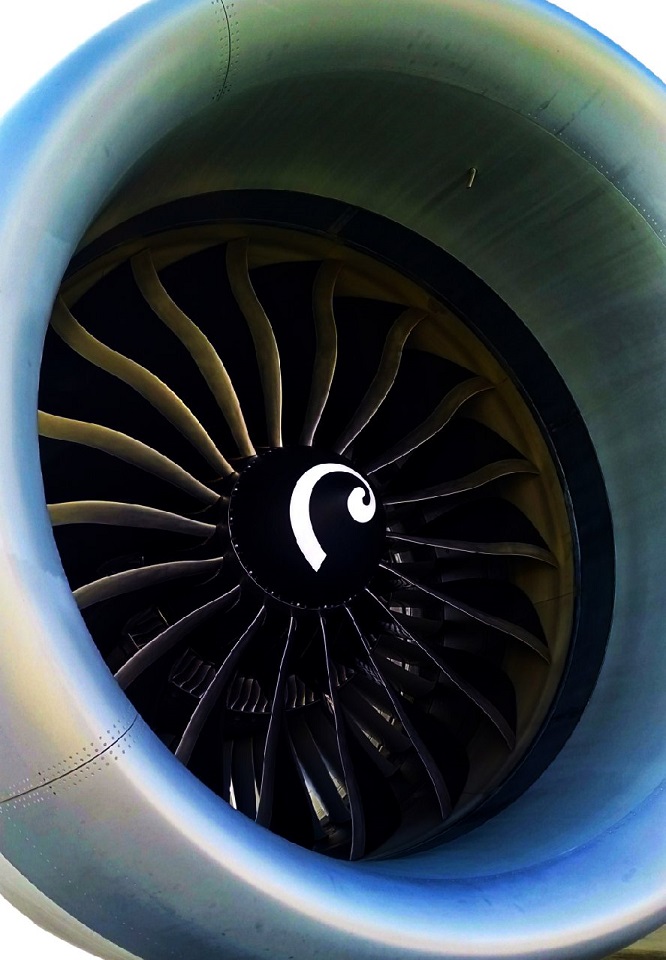787.jpg