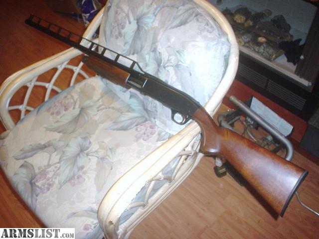 7875958_01_browning_bps_12ga_640.jpg