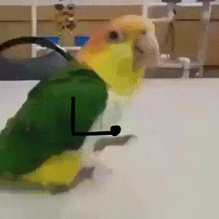 78A12654-222E-4A65-857B-9B766EF0DD18.gif