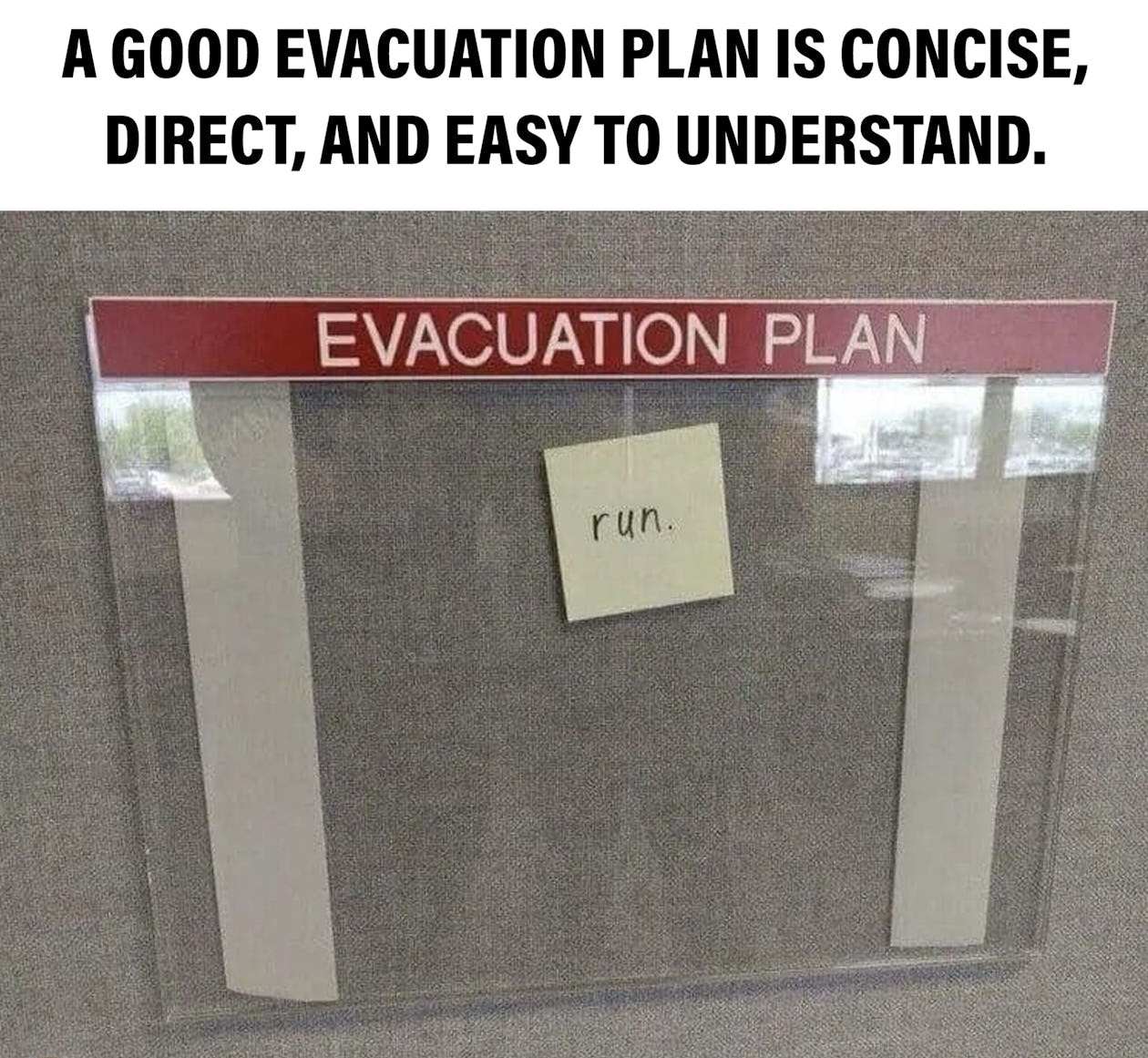 79082A2B-5CFC-4AA8-BD24-AACF0114D773.jpeg