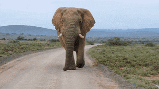79205CC7-1084-44D6-B308-47C9934A5ECC.gif