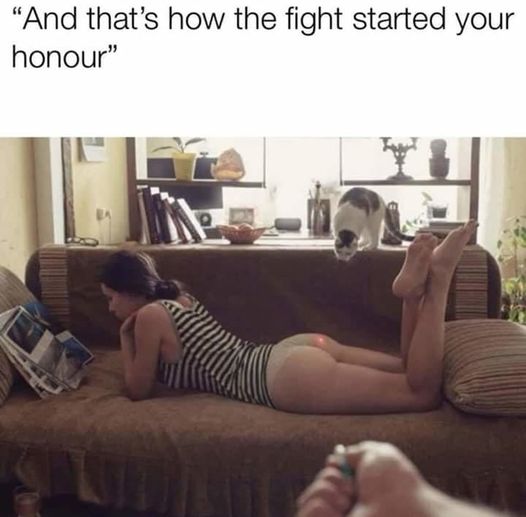 79771820-ED8B-4F19-AD68-34E026709D73.jpeg