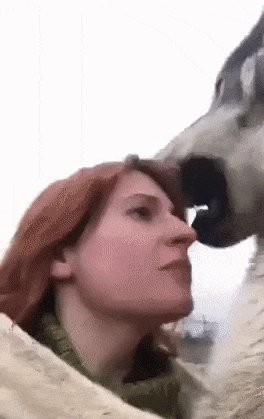 7a2e99631c212ddb8550700a20e3baa9.gif