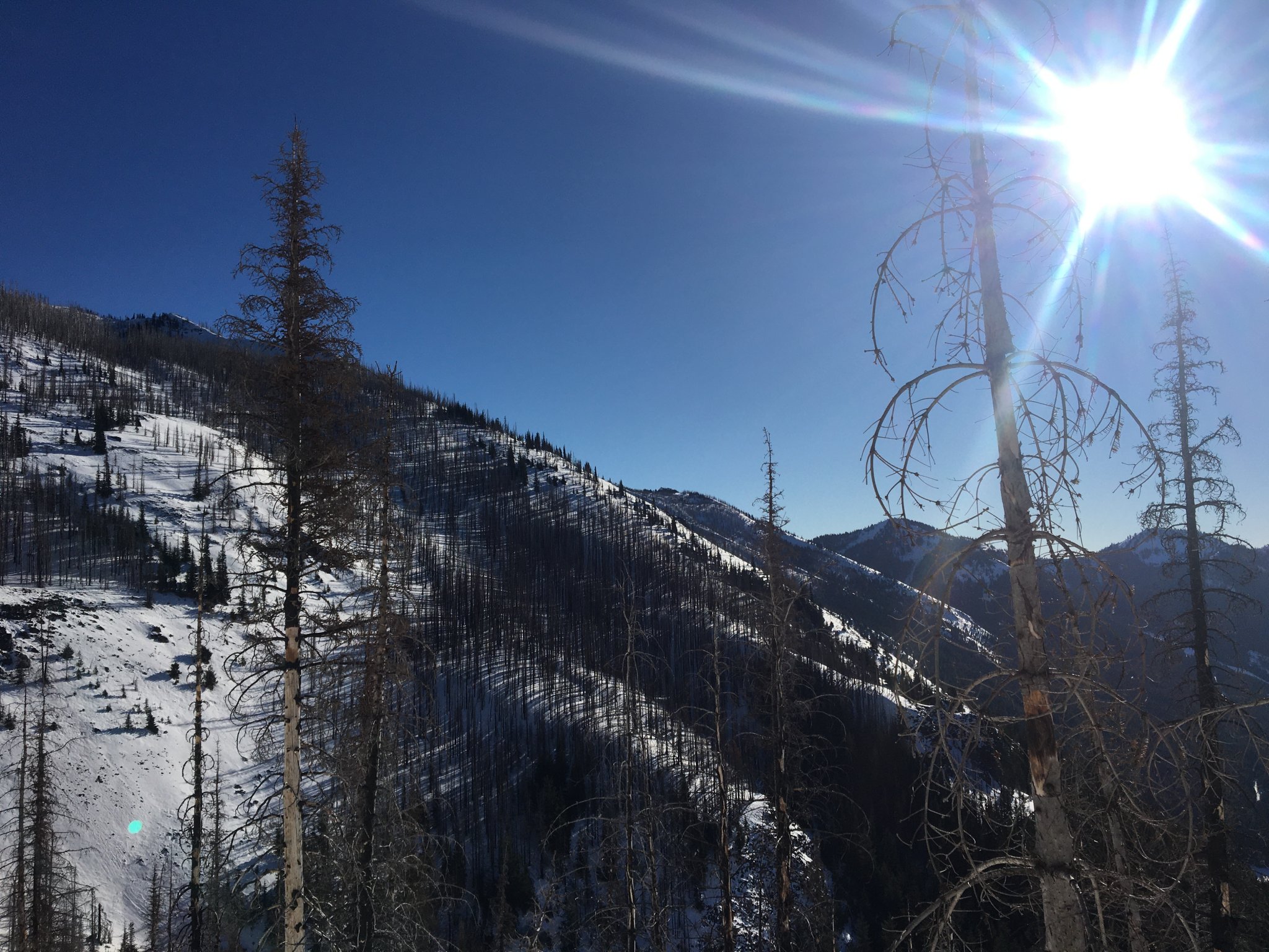 7AF09593-D5D4-4889-B548-576F4983442B.jpeg