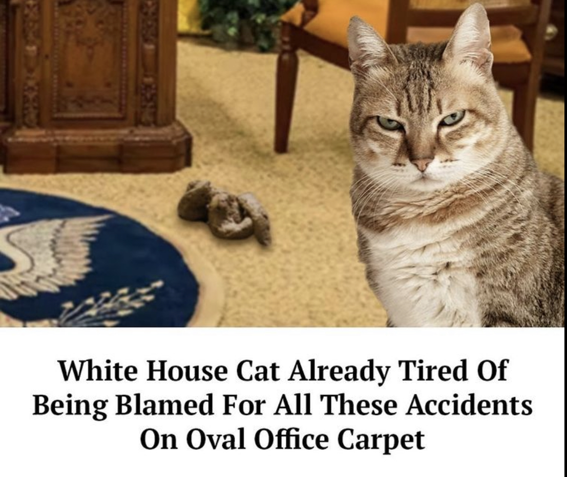7B6ABDFD-2855-427A-8009-4AF819BC24B7.jpeg
